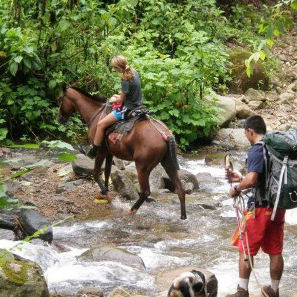 Meet your Posher, Tonya